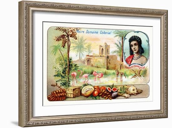 French Somaliland-null-Framed Giclee Print