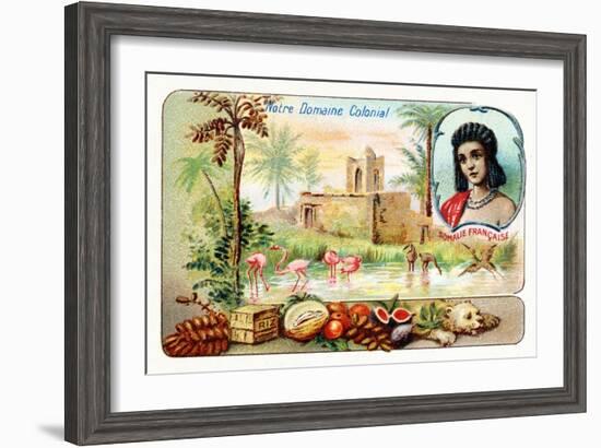 French Somaliland-null-Framed Giclee Print