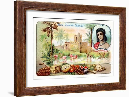 French Somaliland-null-Framed Giclee Print