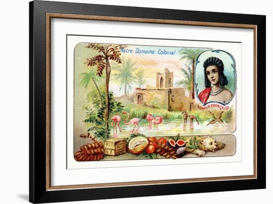 French Somaliland--Framed Giclee Print