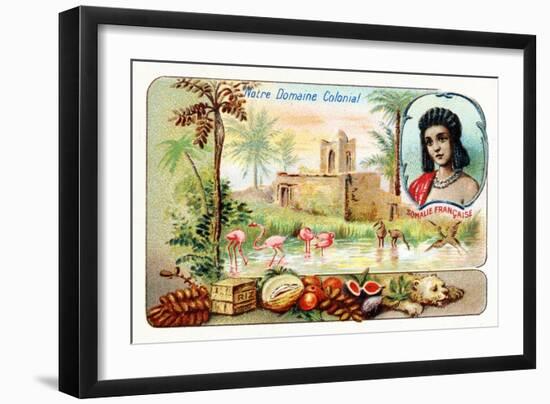 French Somaliland--Framed Giclee Print