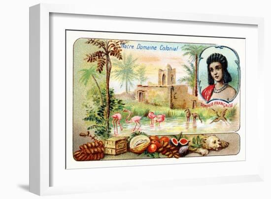 French Somaliland-null-Framed Giclee Print