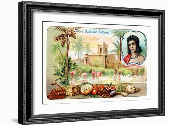 French Somaliland-null-Framed Giclee Print