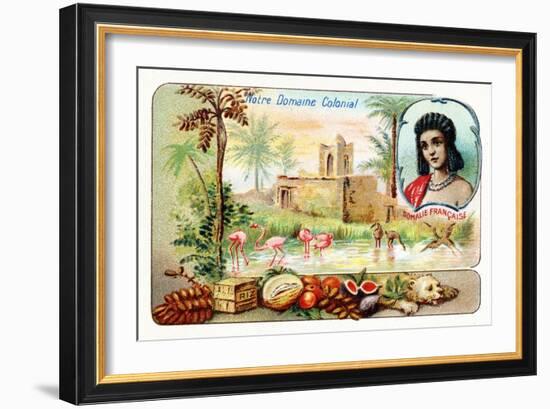 French Somaliland--Framed Giclee Print