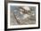 French "Spad" Shoots Down a German Plane-Francois Flameng-Framed Art Print