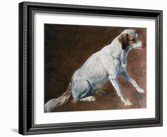 French Spaniel Ancestor, by Alexandre-Francois Desportes (1661-1743), France, 18th Century-Alexandre-Francois Desportes-Framed Premium Giclee Print