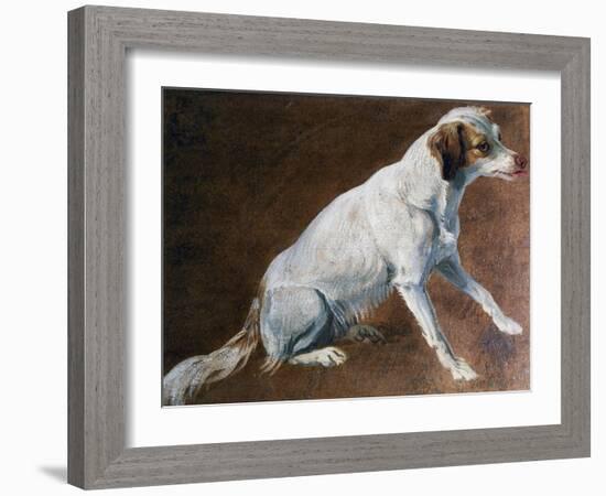 French Spaniel Ancestor, by Alexandre-Francois Desportes (1661-1743), France, 18th Century-Alexandre-Francois Desportes-Framed Giclee Print