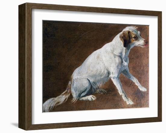 French Spaniel Ancestor, by Alexandre-Francois Desportes (1661-1743), France, 18th Century-Alexandre-Francois Desportes-Framed Giclee Print