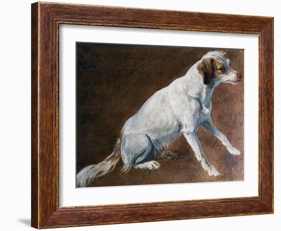 French Spaniel Ancestor, by Alexandre-Francois Desportes (1661-1743), France, 18th Century-Alexandre-Francois Desportes-Framed Giclee Print