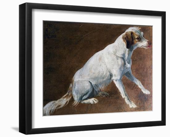 French Spaniel Ancestor, by Alexandre-Francois Desportes (1661-1743), France, 18th Century-Alexandre-Francois Desportes-Framed Giclee Print