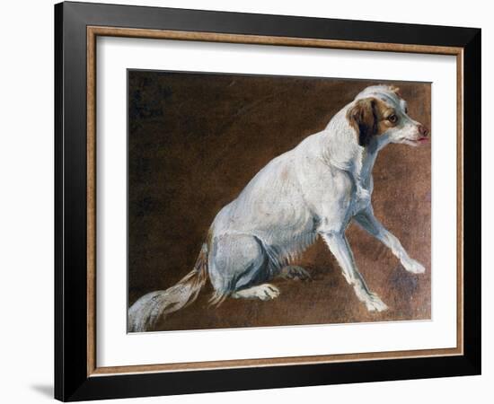 French Spaniel Ancestor, by Alexandre-Francois Desportes (1661-1743), France, 18th Century-Alexandre-Francois Desportes-Framed Giclee Print