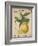 French Stamp - Lemon-Maria Mendez-Framed Giclee Print