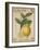 French Stamp - Lemon-Maria Mendez-Framed Giclee Print