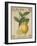 French Stamp - Lemon-Maria Mendez-Framed Giclee Print