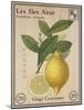 French Stamp - Lemon-Maria Mendez-Mounted Giclee Print