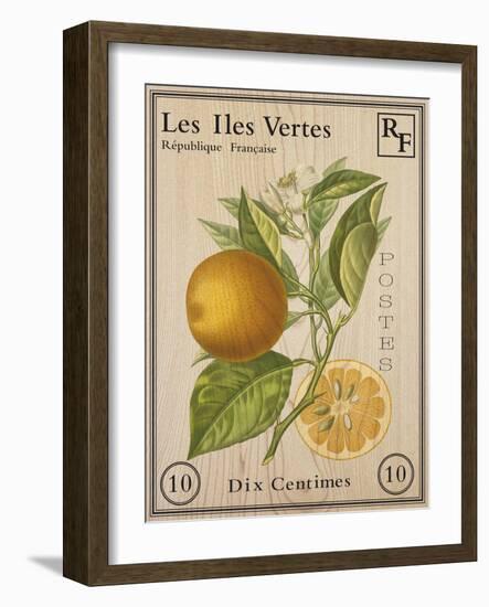 French Stamp - Orange-Maria Mendez-Framed Giclee Print