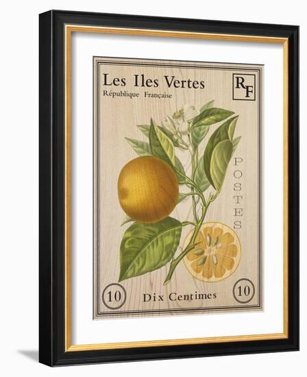 French Stamp - Orange-Maria Mendez-Framed Giclee Print