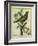 French Starling-Georges-Louis Buffon-Framed Giclee Print