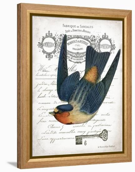 French Swallow I-Gwendolyn Babbitt-Framed Stretched Canvas