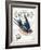 French Swallow II-Gwendolyn Babbitt-Framed Art Print