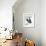 French Swallow II-Gwendolyn Babbitt-Framed Art Print displayed on a wall