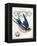 French Swallow II-Gwendolyn Babbitt-Framed Stretched Canvas