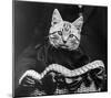 French Tabby Cat-Mesh Gabriella-Mounted Art Print