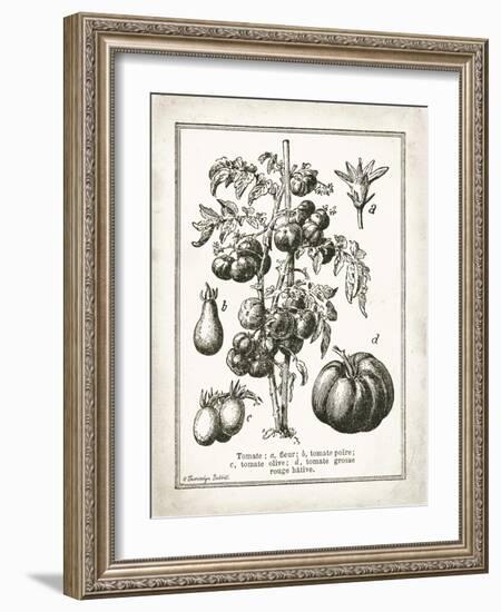 French Tomatoes-Gwendolyn Babbitt-Framed Art Print