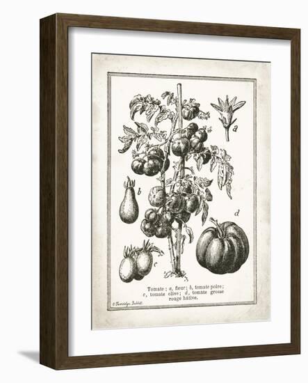 French Tomatoes-Gwendolyn Babbitt-Framed Art Print