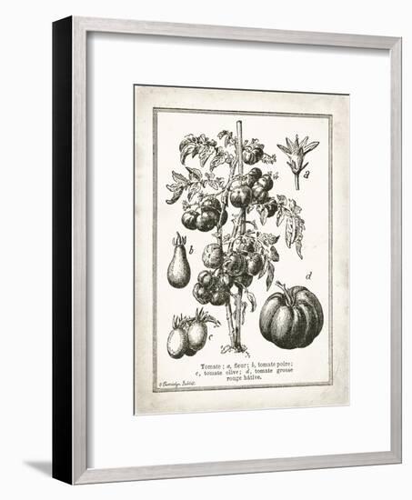 French Tomatoes-Gwendolyn Babbitt-Framed Art Print