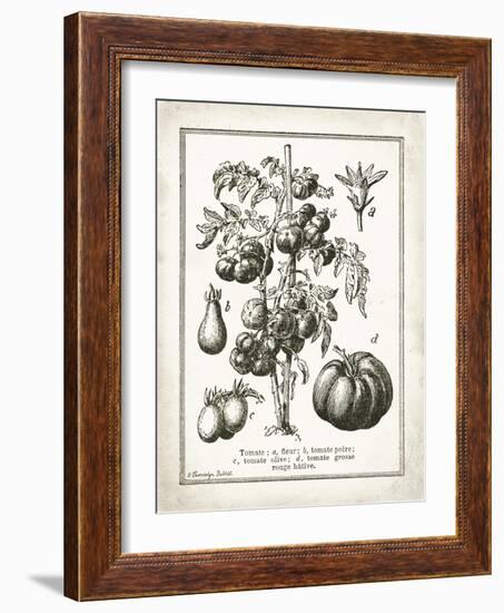 French Tomatoes-Gwendolyn Babbitt-Framed Art Print