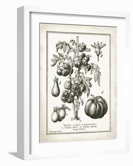 French Tomatoes-Gwendolyn Babbitt-Framed Art Print