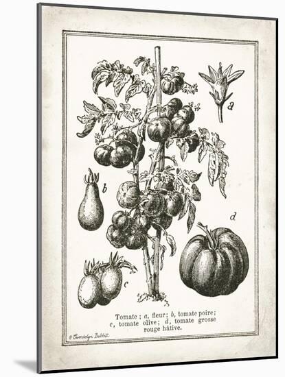 French Tomatoes-Gwendolyn Babbitt-Mounted Art Print