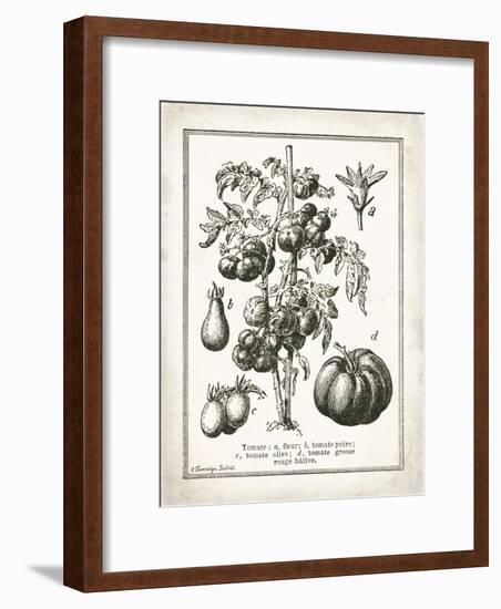 French Tomatoes-Gwendolyn Babbitt-Framed Art Print