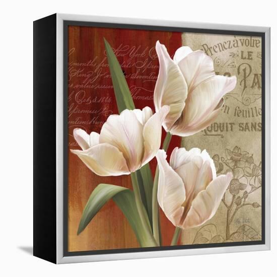 French Tulip Collage II-Abby White-Framed Stretched Canvas