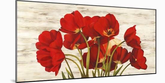 French Tulips-Serena Biffi-Mounted Art Print