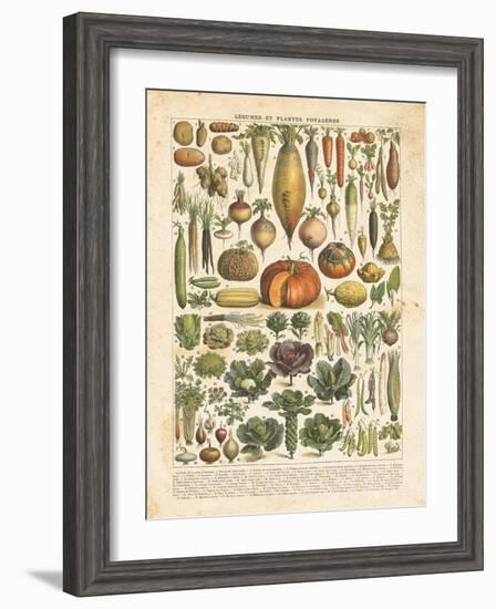 French Vegetable Chart-Gwendolyn Babbitt-Framed Art Print