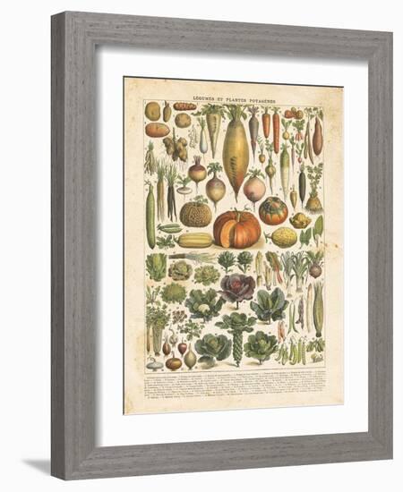 French Vegetable Chart-Gwendolyn Babbitt-Framed Art Print