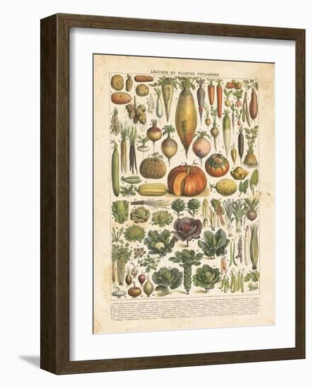 French Vegetable Chart-Gwendolyn Babbitt-Framed Art Print