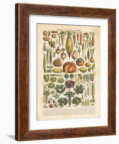 French Vegetable Chart-Gwendolyn Babbitt-Framed Art Print