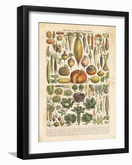 French Vegetable Chart-Gwendolyn Babbitt-Framed Art Print