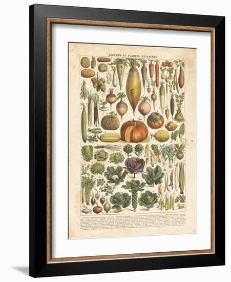 French Vegetable Chart-Gwendolyn Babbitt-Framed Art Print