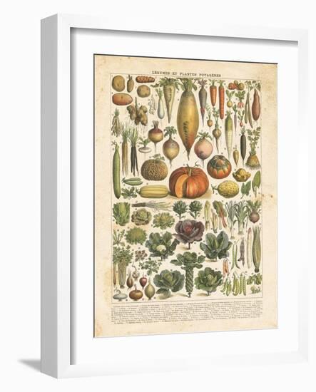 French Vegetable Chart-Gwendolyn Babbitt-Framed Art Print