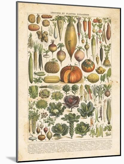 French Vegetable Chart-Gwendolyn Babbitt-Mounted Art Print