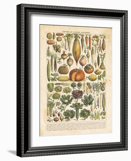 French Vegetable Chart-Gwendolyn Babbitt-Framed Art Print