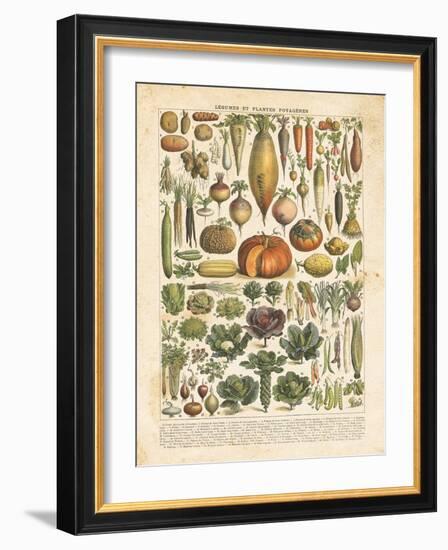 French Vegetable Chart-Gwendolyn Babbitt-Framed Art Print