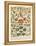 French Vegetable Chart-Gwendolyn Babbitt-Framed Stretched Canvas