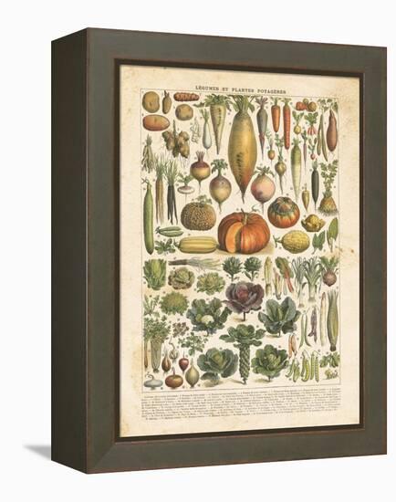 French Vegetable Chart-Gwendolyn Babbitt-Framed Stretched Canvas