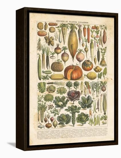 French Vegetable Chart-Gwendolyn Babbitt-Framed Stretched Canvas