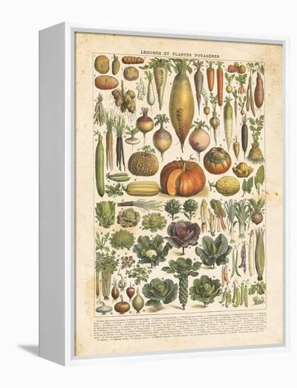 French Vegetable Chart-Gwendolyn Babbitt-Framed Stretched Canvas